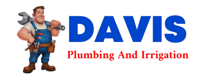 Trusted plumber in MONDOVI